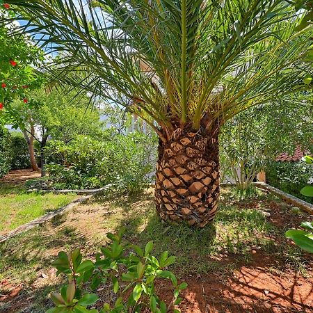 Iby Apartment بولا المظهر الخارجي الصورة